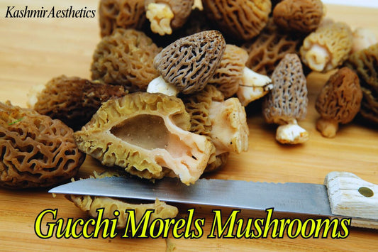 Gucchi Morels Mushrooms dried